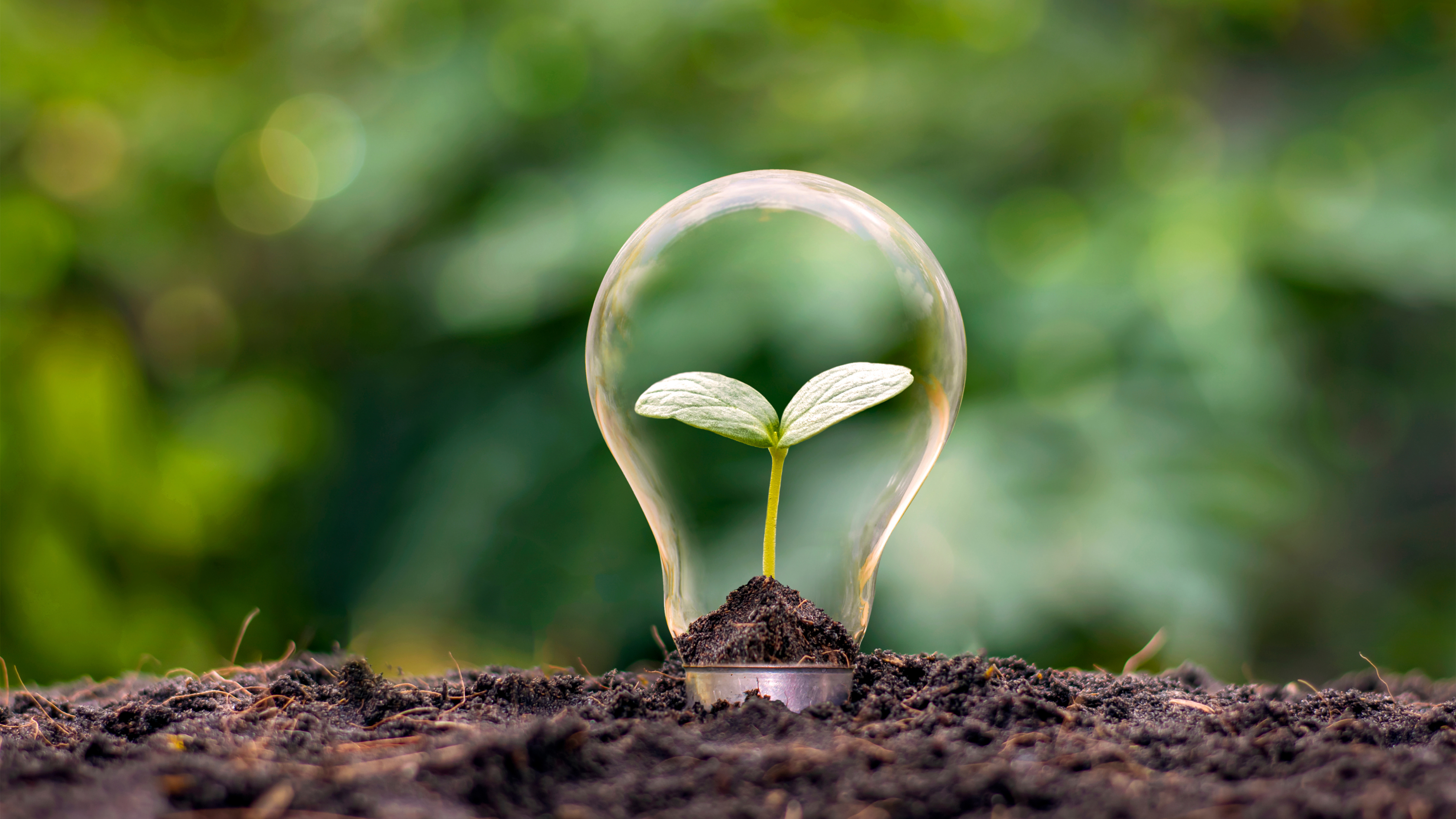 Exploring ISO 14001: Unveiling the Path to Environmental Excellence